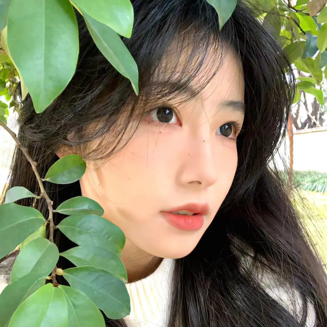 我的白鲸男友第一季