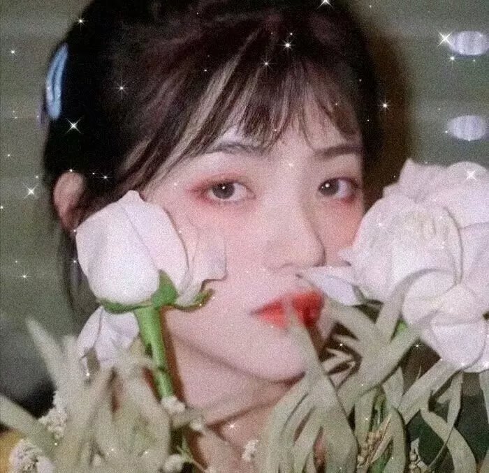 有兽焉